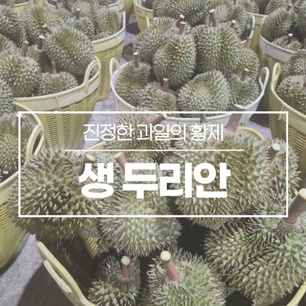 진정한 과일의 황제 생두리안 2.8kg 2수